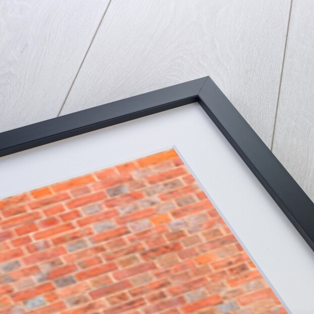 Brickwall by Assaf Frank